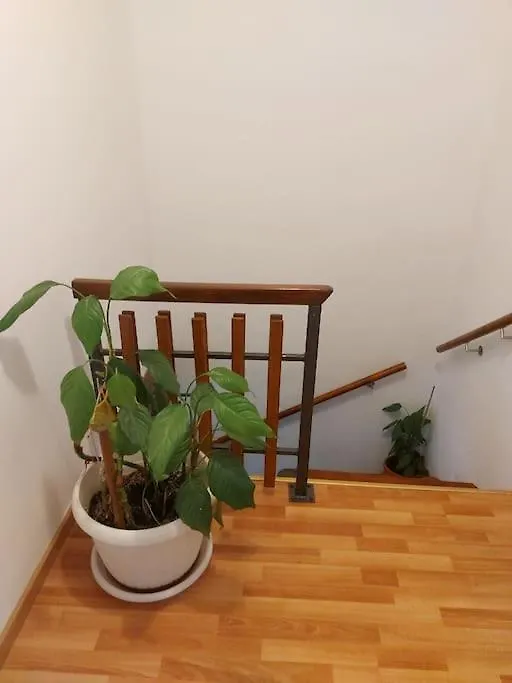 Kuca S Pogledom Na More S Prostranom Terasom Apartment Rijeka